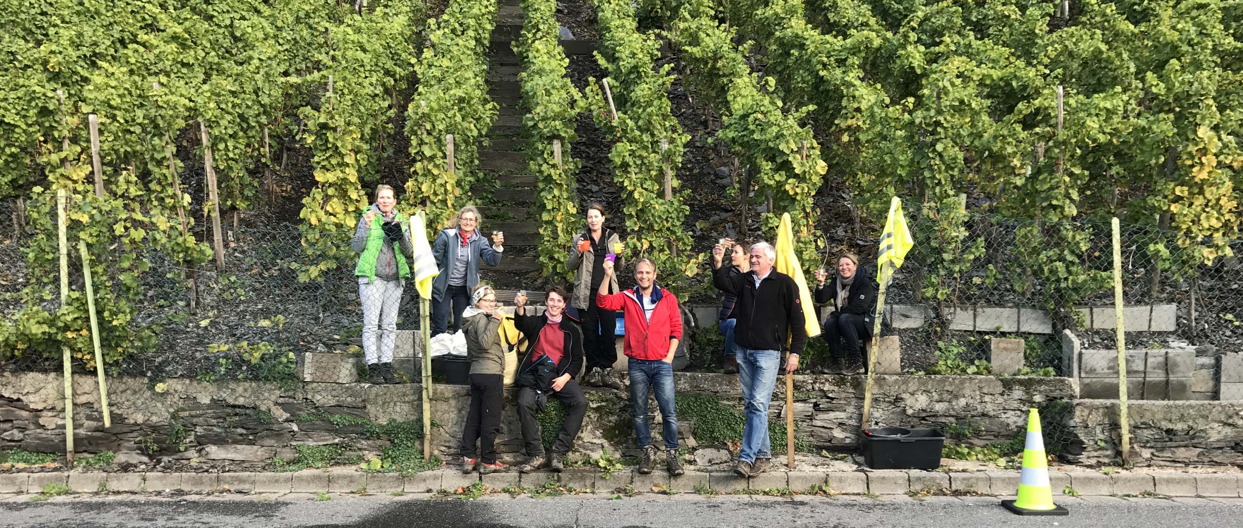 Weinhandel Bottle & Soul Weinhandel